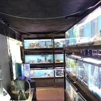 Roe Aquarium & Pet Co ico