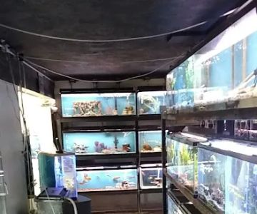 Roe Aquarium & Pet Co