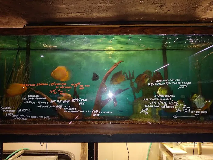 Roe Aquarium & Pet Co 6