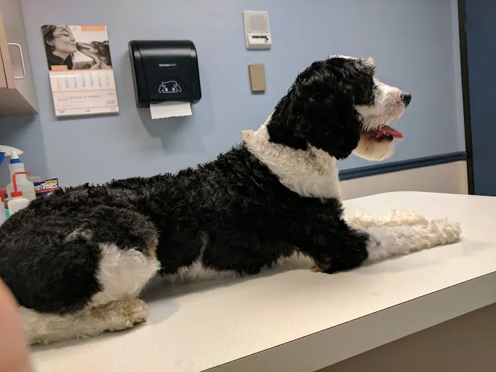 West Bearden Veterinary Hospital 1