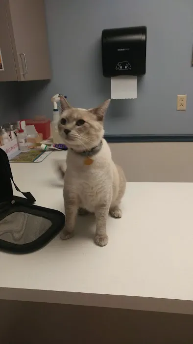 West Bearden Veterinary Hospital 5