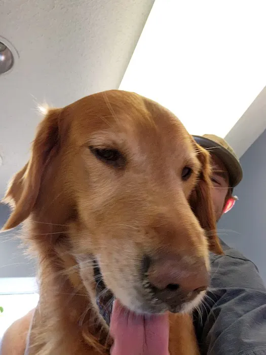 West Bearden Veterinary Hospital 3
