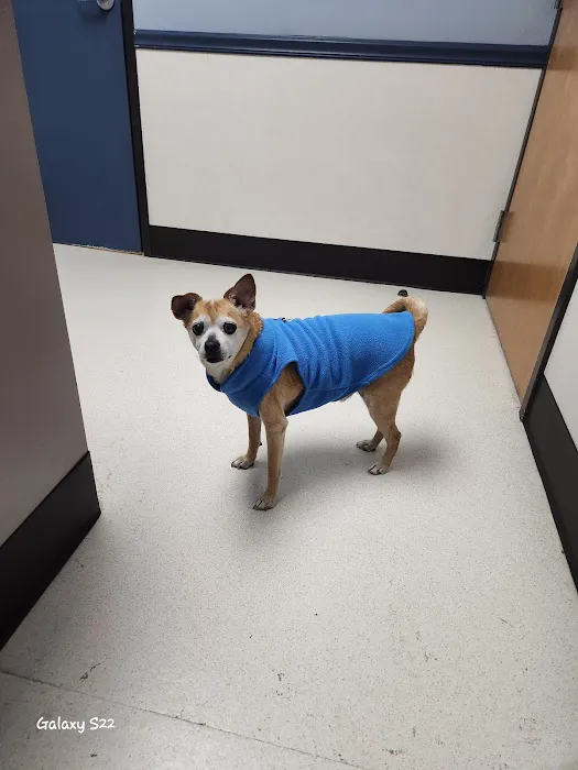 West Bearden Veterinary Hospital 4