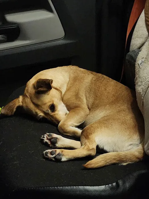 West Bearden Veterinary Hospital 6