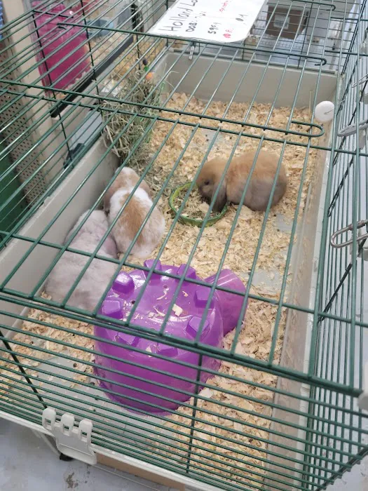 Teske Pet & Garden 4