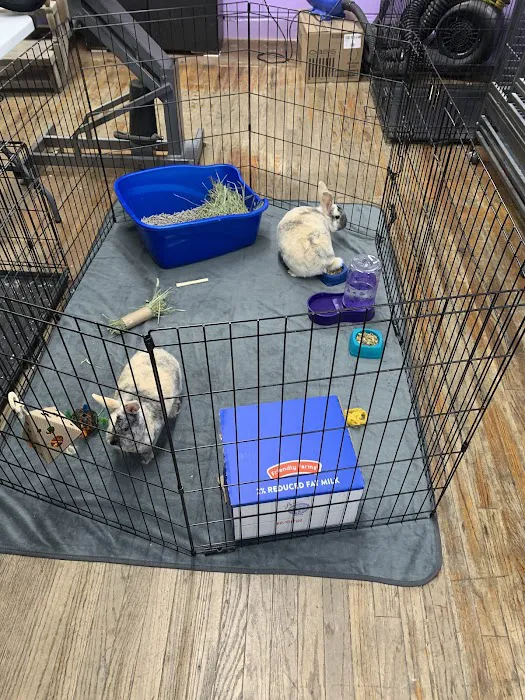 Teske Pet & Garden 9