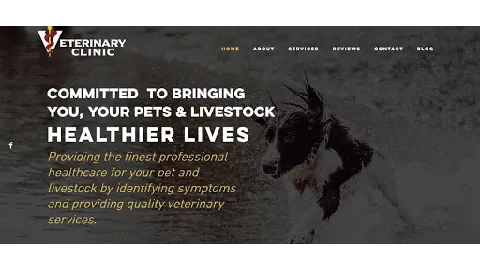 Goldfield Veterinary Clinic 1