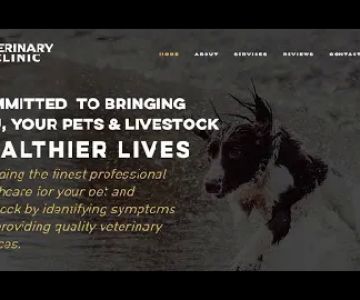 Goldfield Veterinary Clinic