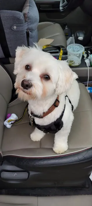 Petco 1