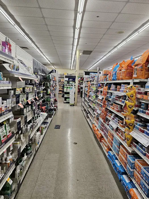Petco 6