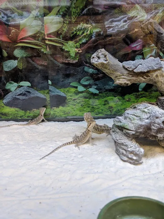 Petco 5