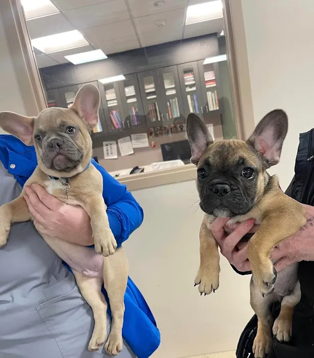 Somerset Veterinary Hospital 9