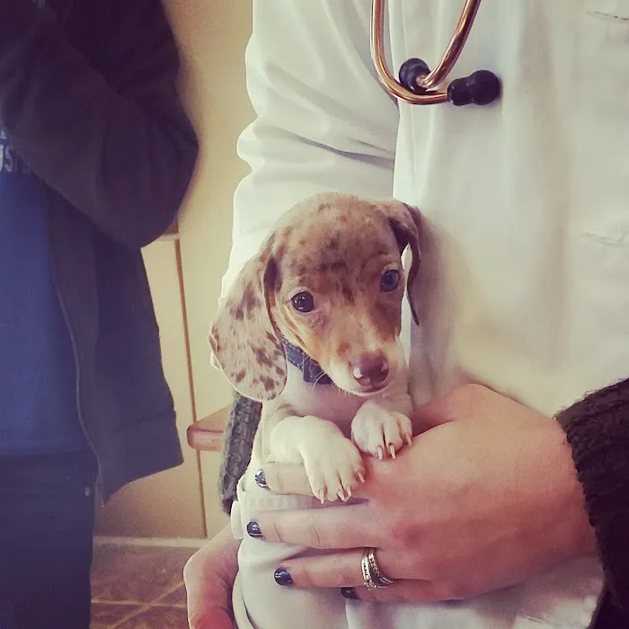 Somerset Veterinary Hospital 6