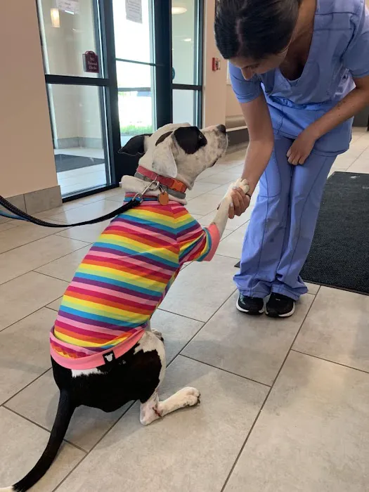 Somerset Veterinary Hospital 4