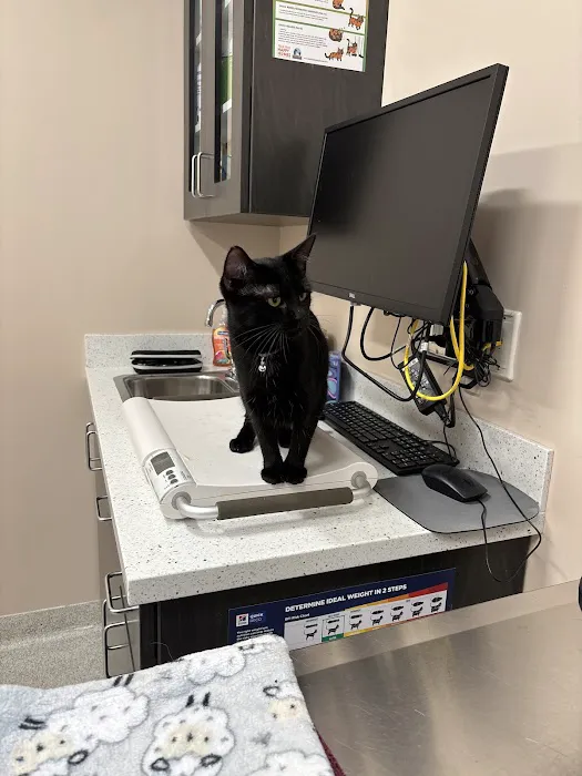 Somerset Veterinary Hospital 2