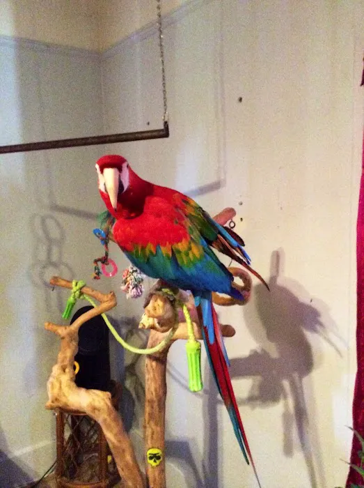Story County Veterinary Clinic 3