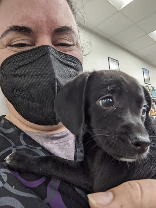 Abby's Road Vet Care 4