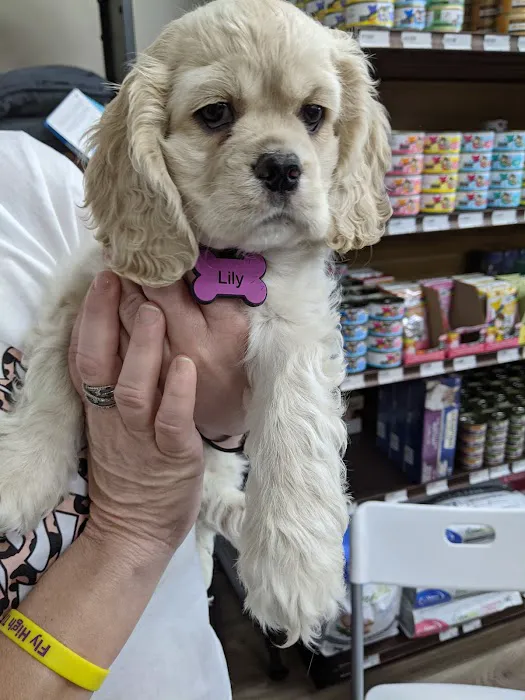 Abby's Road Vet Care 1