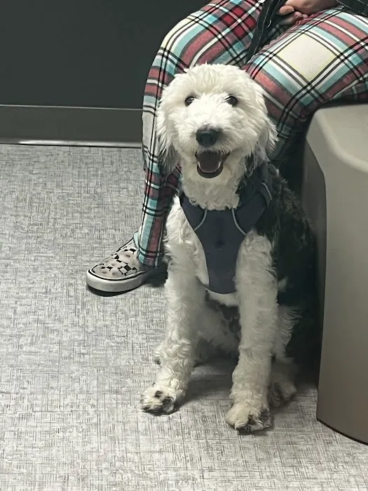 Pet Medical Center 10