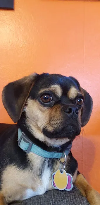 Lloyd Veterinary Medical Center 4