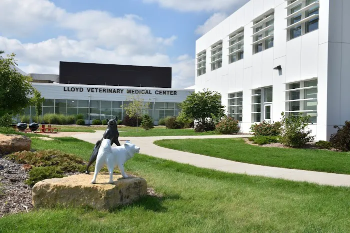 Lloyd Veterinary Medical Center 3