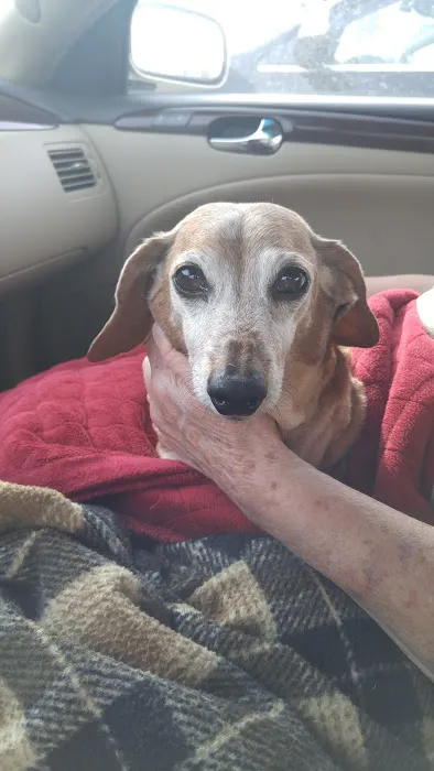 Lloyd Veterinary Medical Center 9