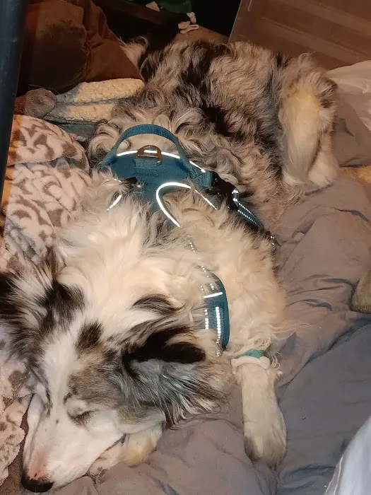 Lloyd Veterinary Medical Center 6