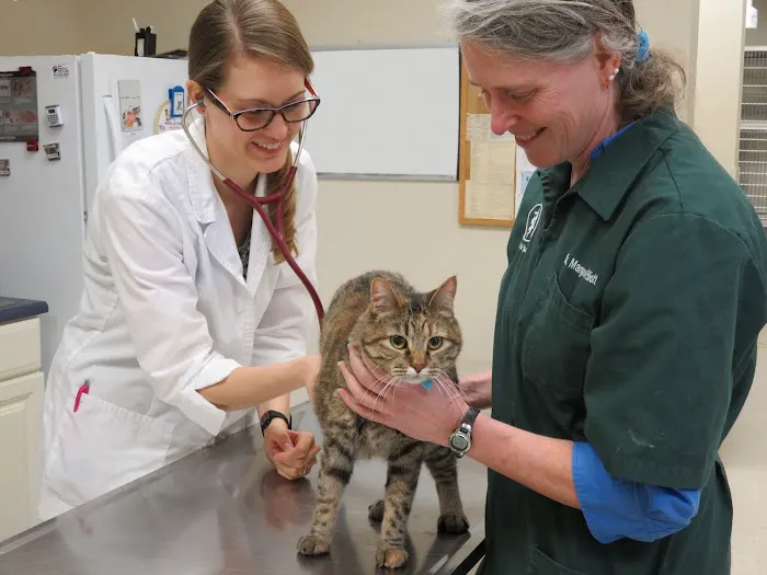 Ames Pet Hospital 1