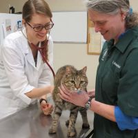 Ames Pet Hospital ico