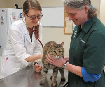 Ames Pet Hospital