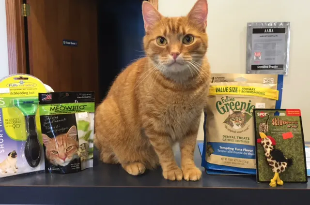 Ames Pet Hospital 3