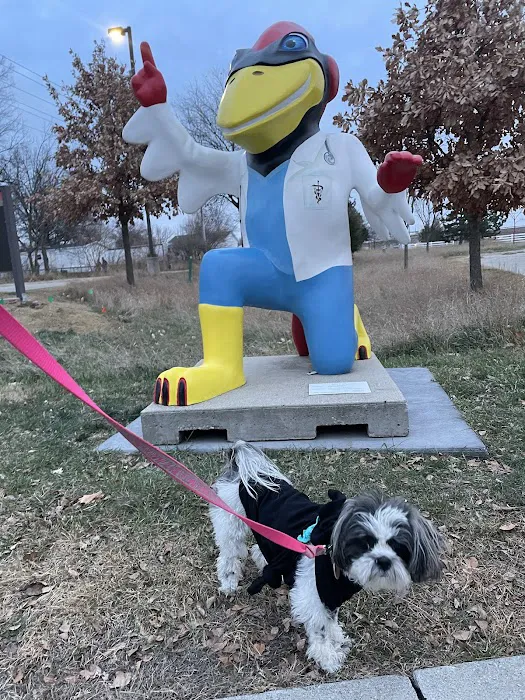 ISU Small Animal Hospital 7
