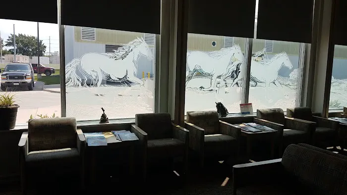 Large Animal Hospital 1