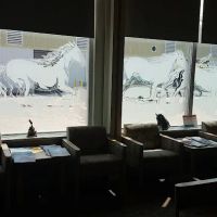 Large Animal Hospital ico