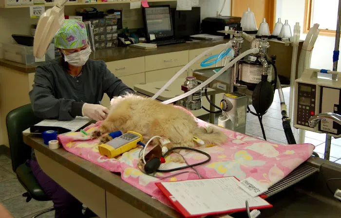 Altoona Veterinary Hospital 10