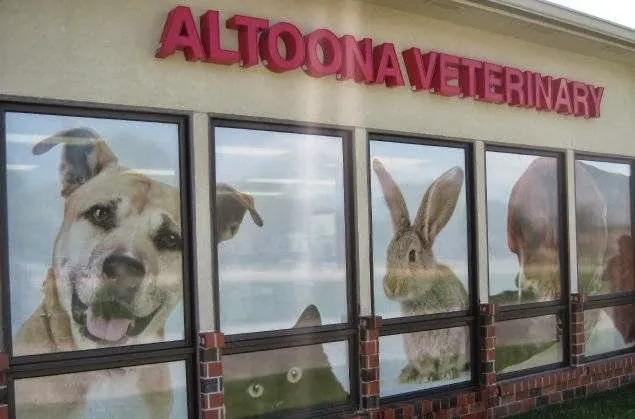 Altoona Veterinary Hospital 9