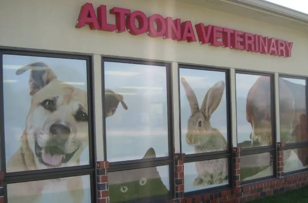Altoona Veterinary Hospital 4