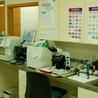 Altoona Veterinary Hospital ico