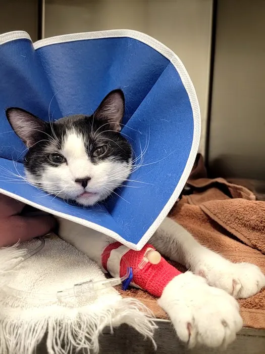 Altoona Veterinary Hospital 3