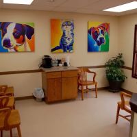 Hubbell Animal Hospital ico
