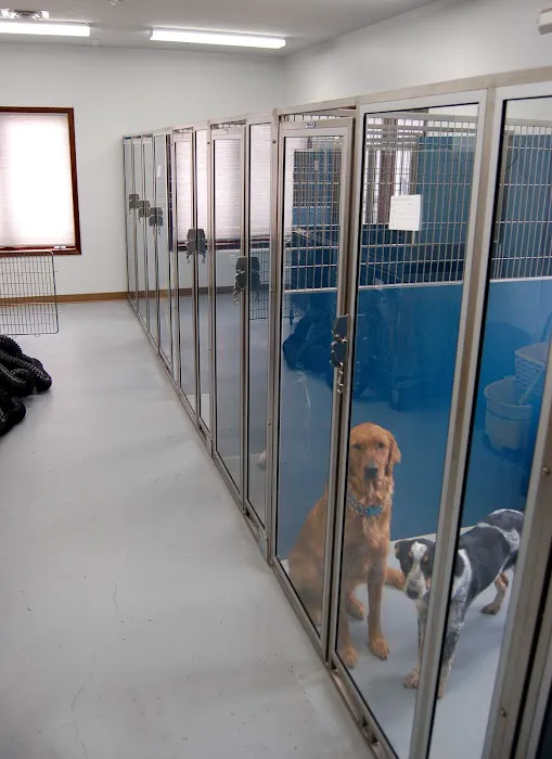 Hubbell Animal Hospital 2