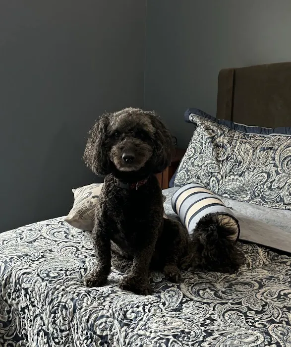 Eastown Animal Hospital 6