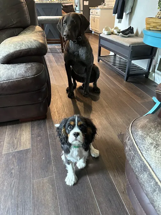 Eastown Animal Hospital 8