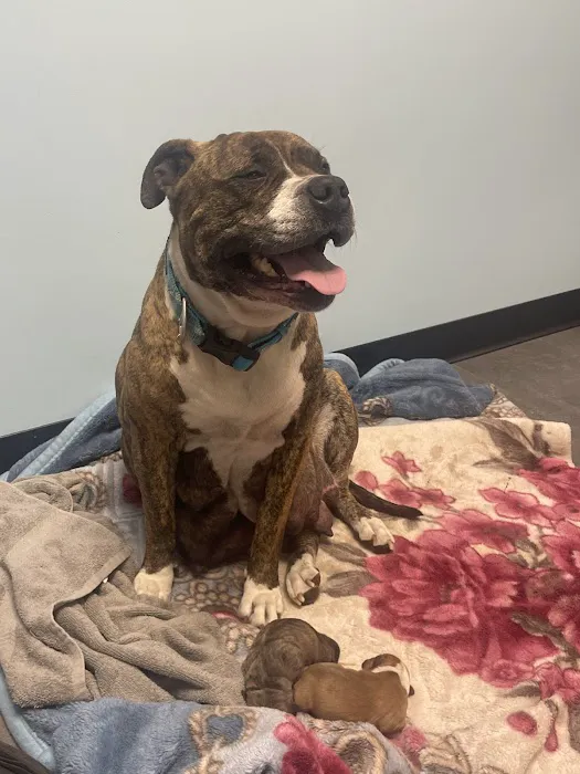 Banfield Pet Hospital 4