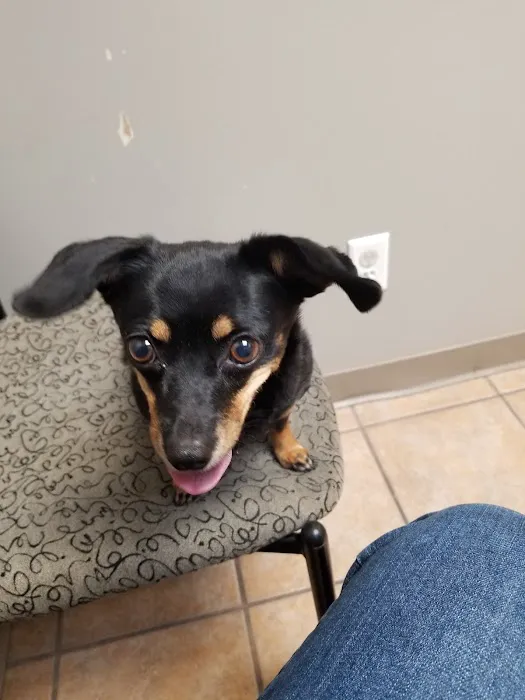 Creature Comforts Veterinary Hospital 1