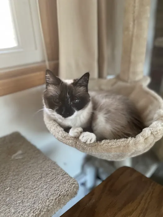Creature Comforts Veterinary Hospital 9