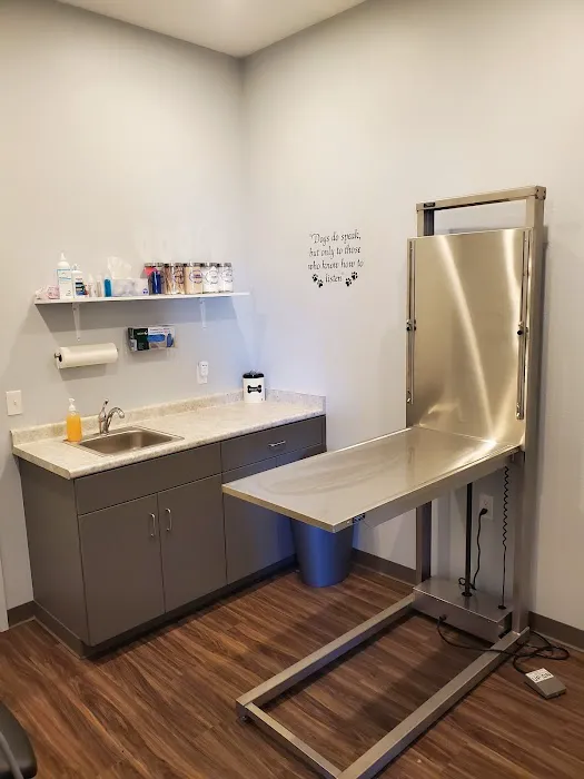 Van Wyk Veterinary Clinic 6