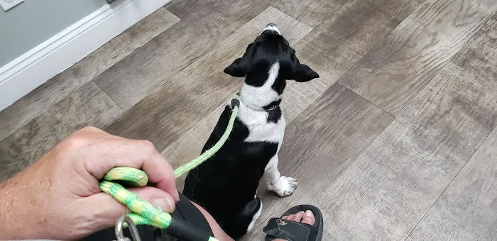 Pella Pets Veterinary Clinic 8