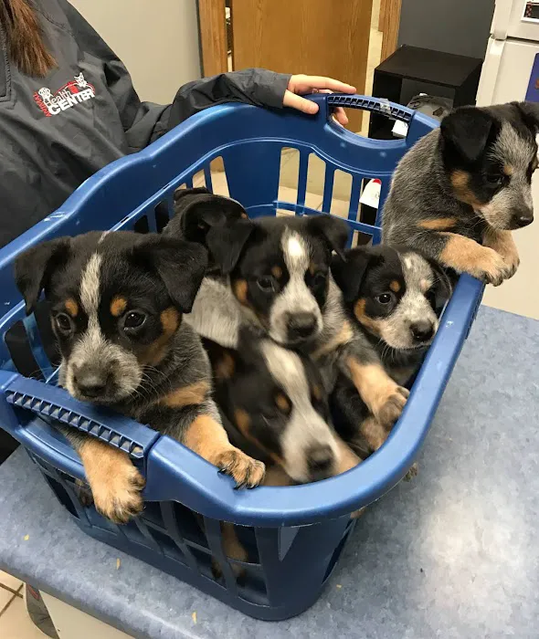 Animal Health Center of Knoxville 10