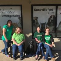 Animal Health Center of Knoxville ico